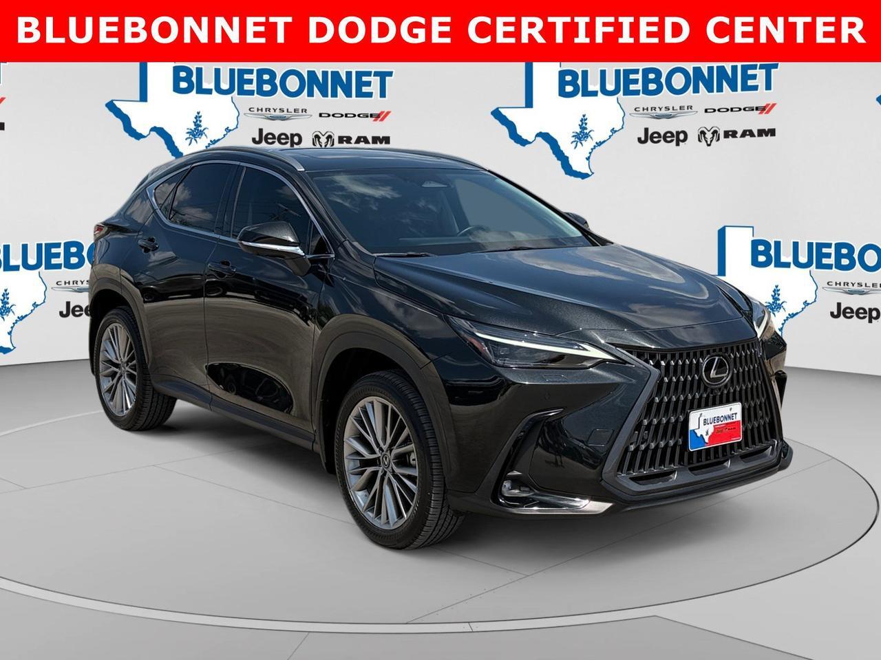 2024 Lexus NX 350h Luxury