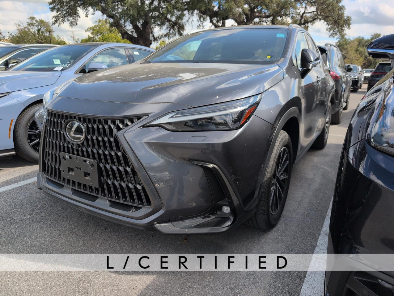 2024 Lexus NX