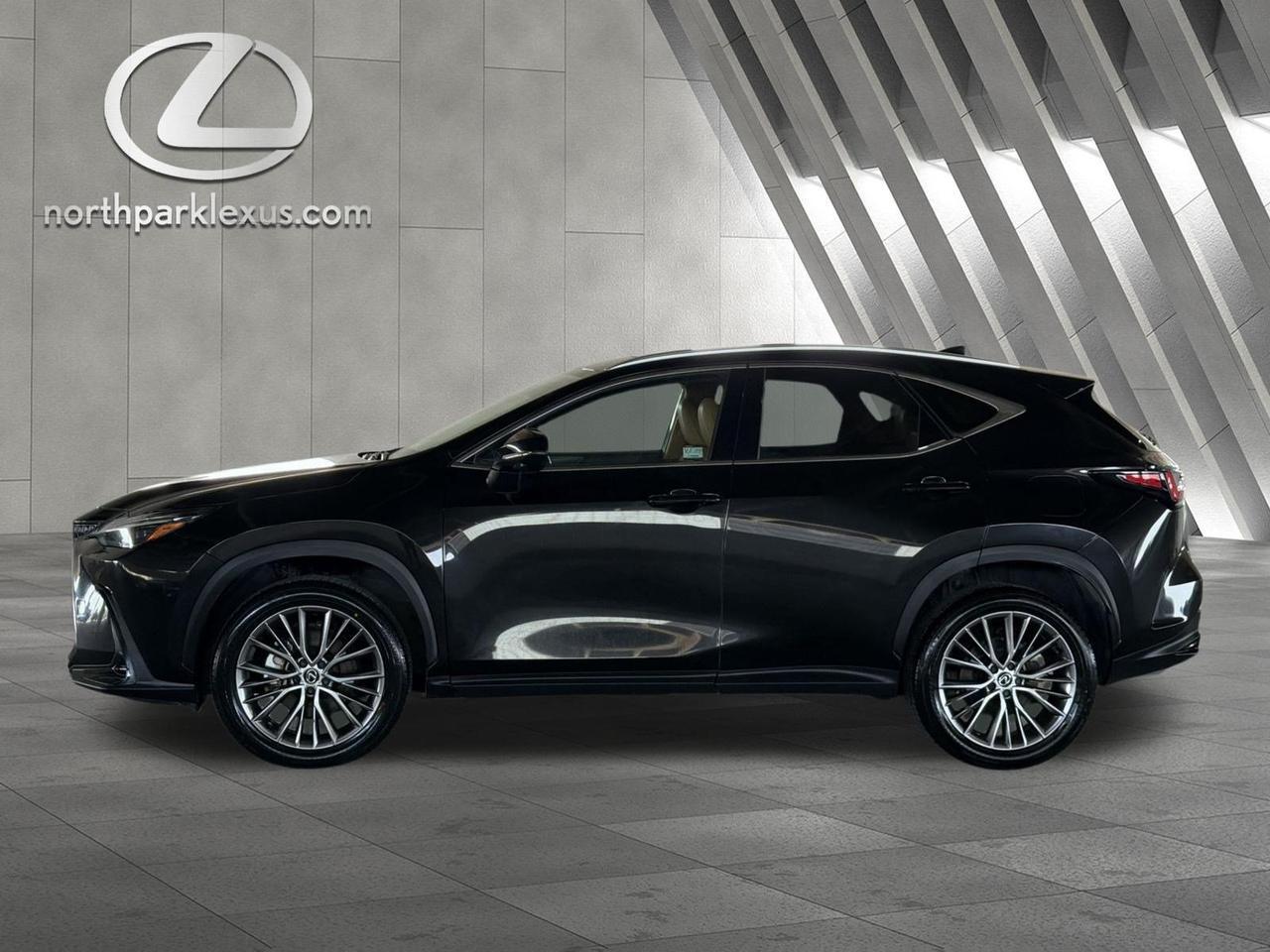 2024 Lexus NX