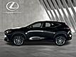 2024 Lexus NX 350h Luxury