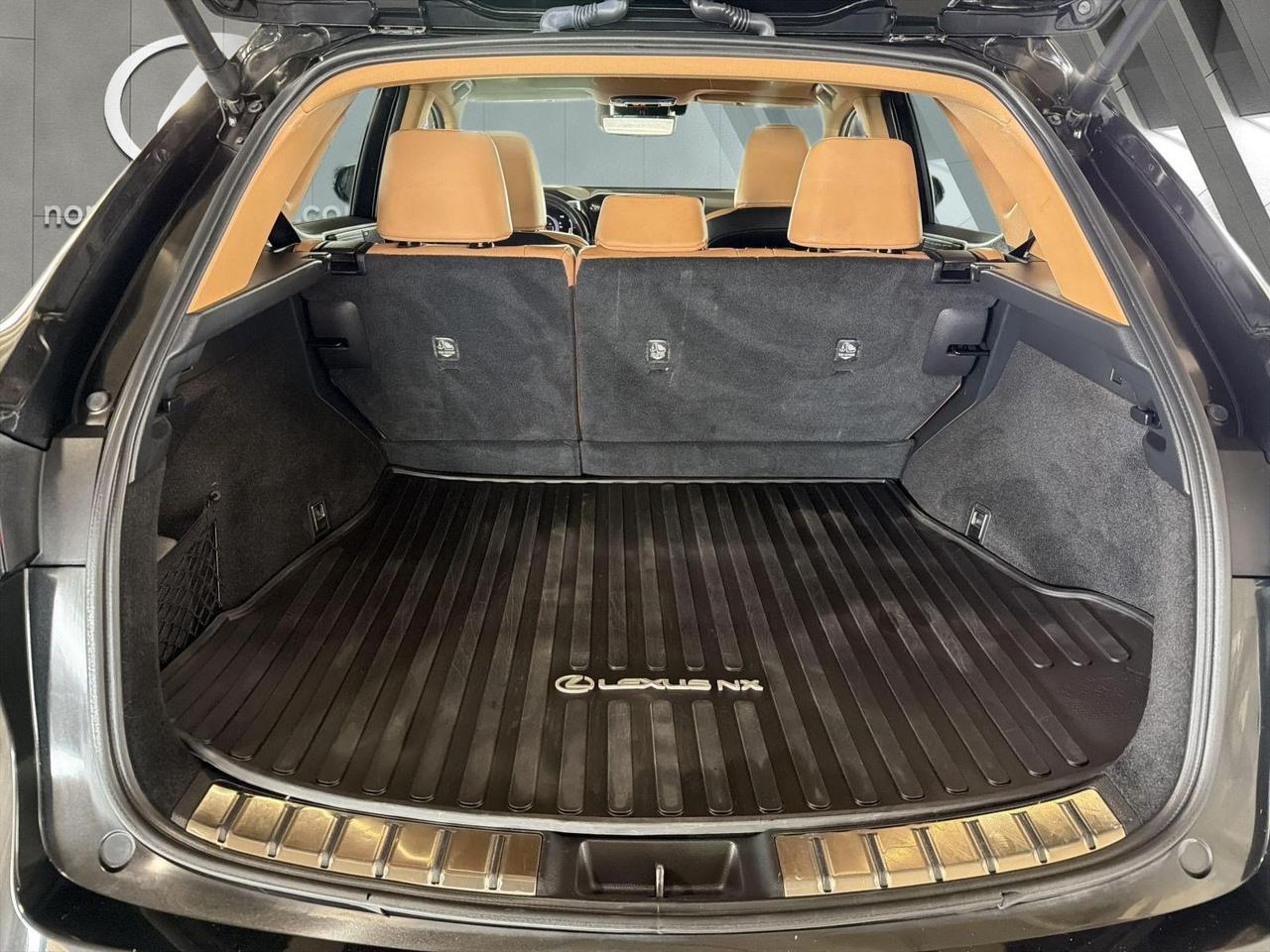 2024 Lexus NX 350h Luxury San Antonio TX