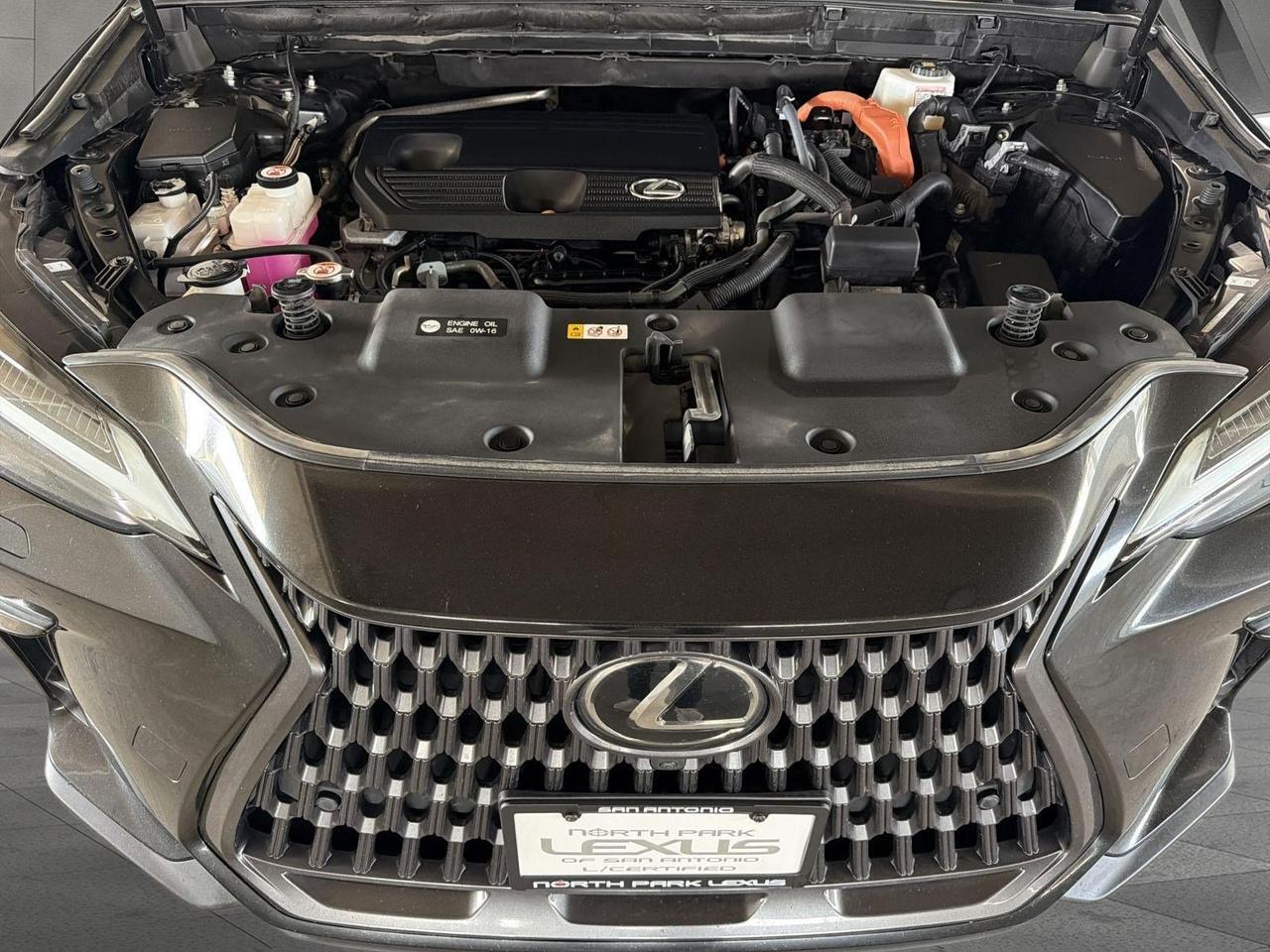 2024 Lexus NX 350h Luxury San Antonio TX