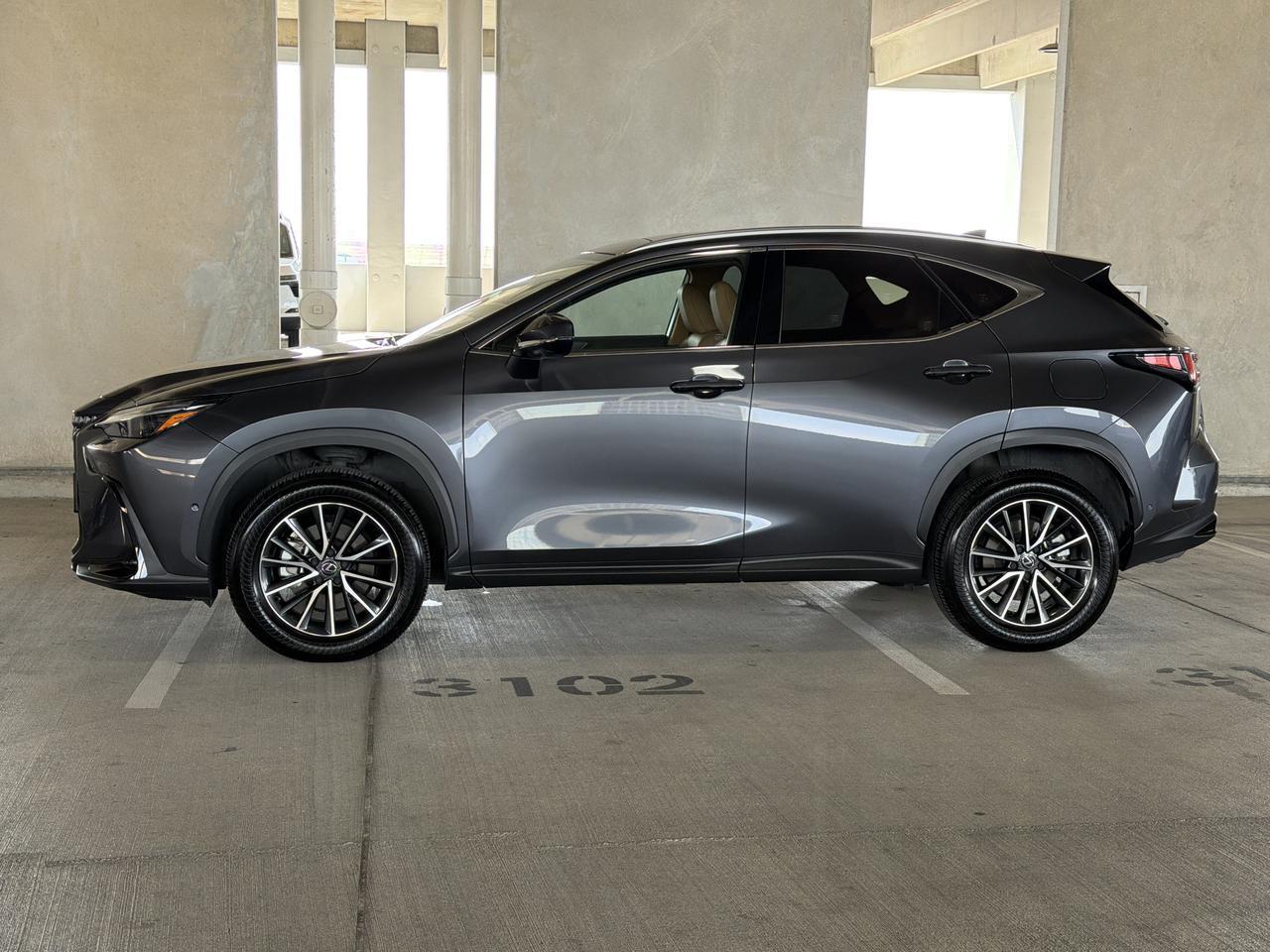 2024 Lexus NX 350h Luxury