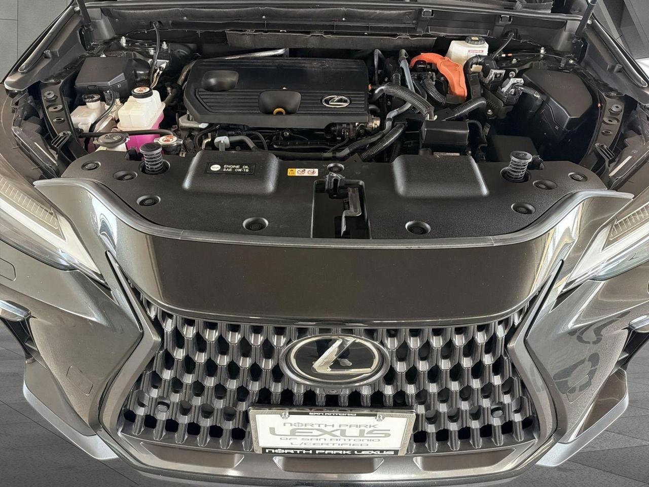 2024 Lexus NX 350h Luxury San Antonio TX