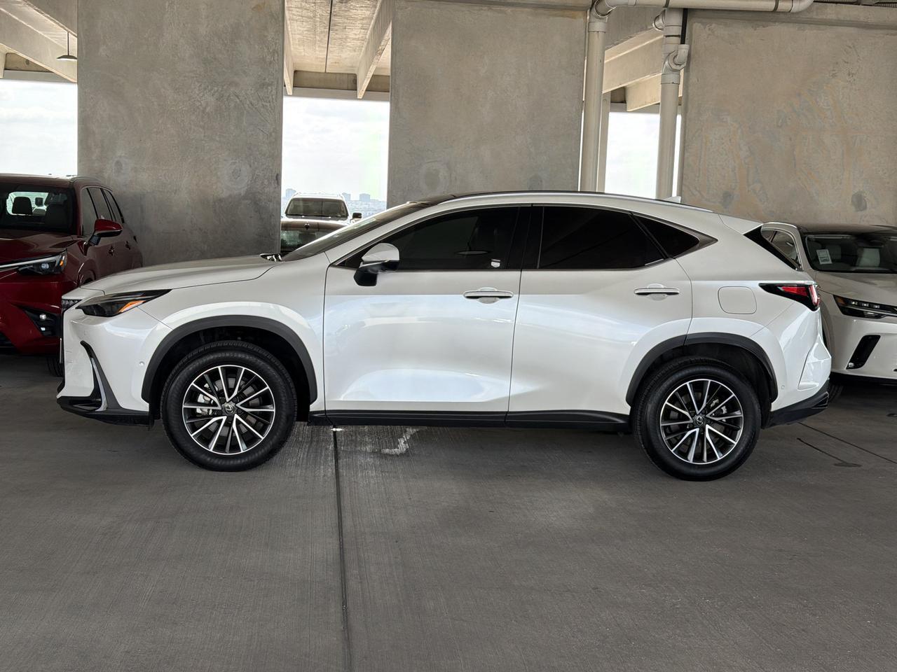 2024 Lexus NX 350h Luxury