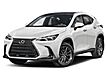 2024 Lexus NX 350h Luxury