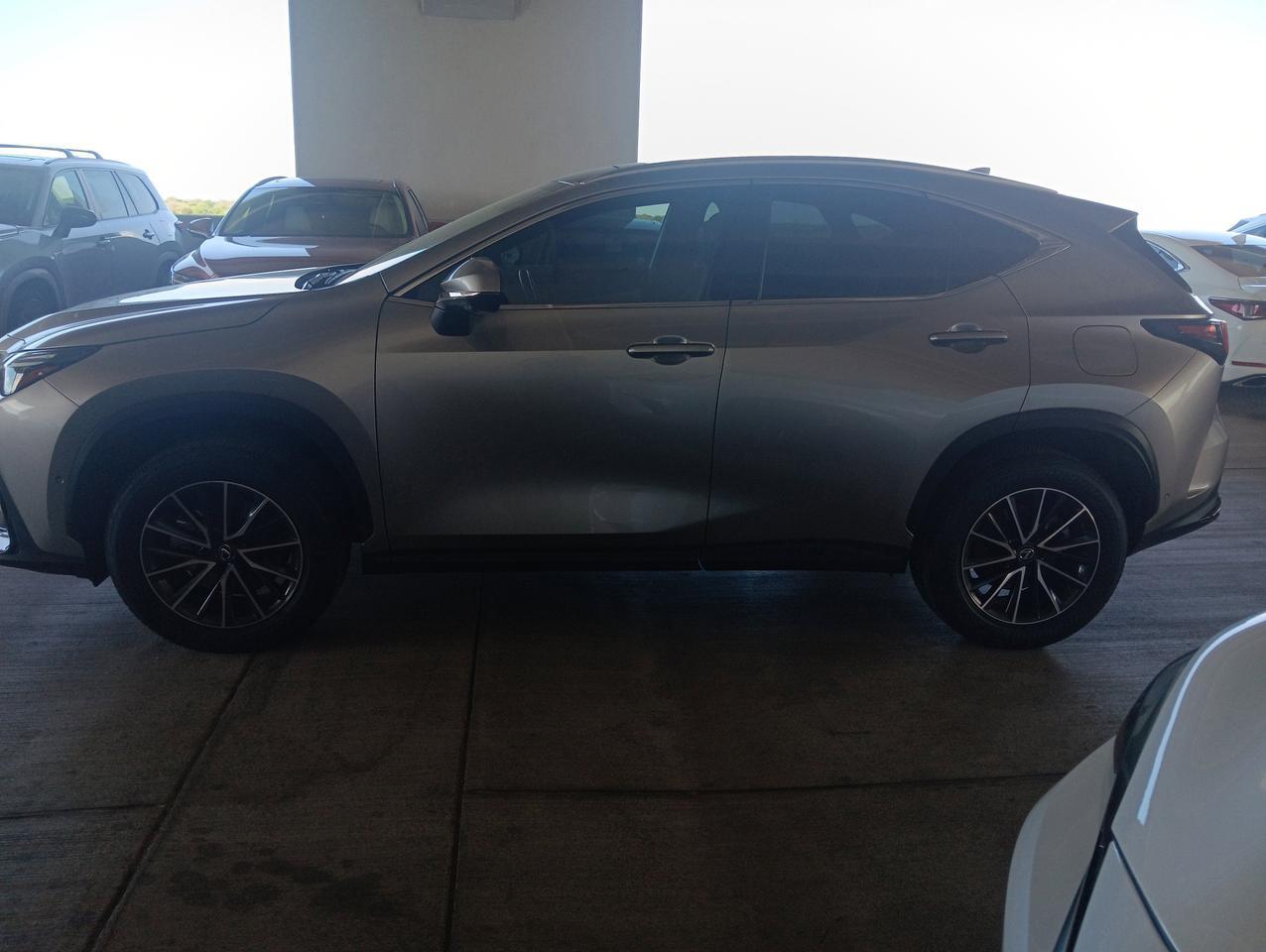 2024 Lexus NX 350h Luxury
