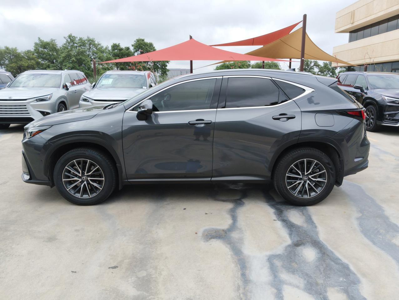 2024 Lexus NX 350h Luxury