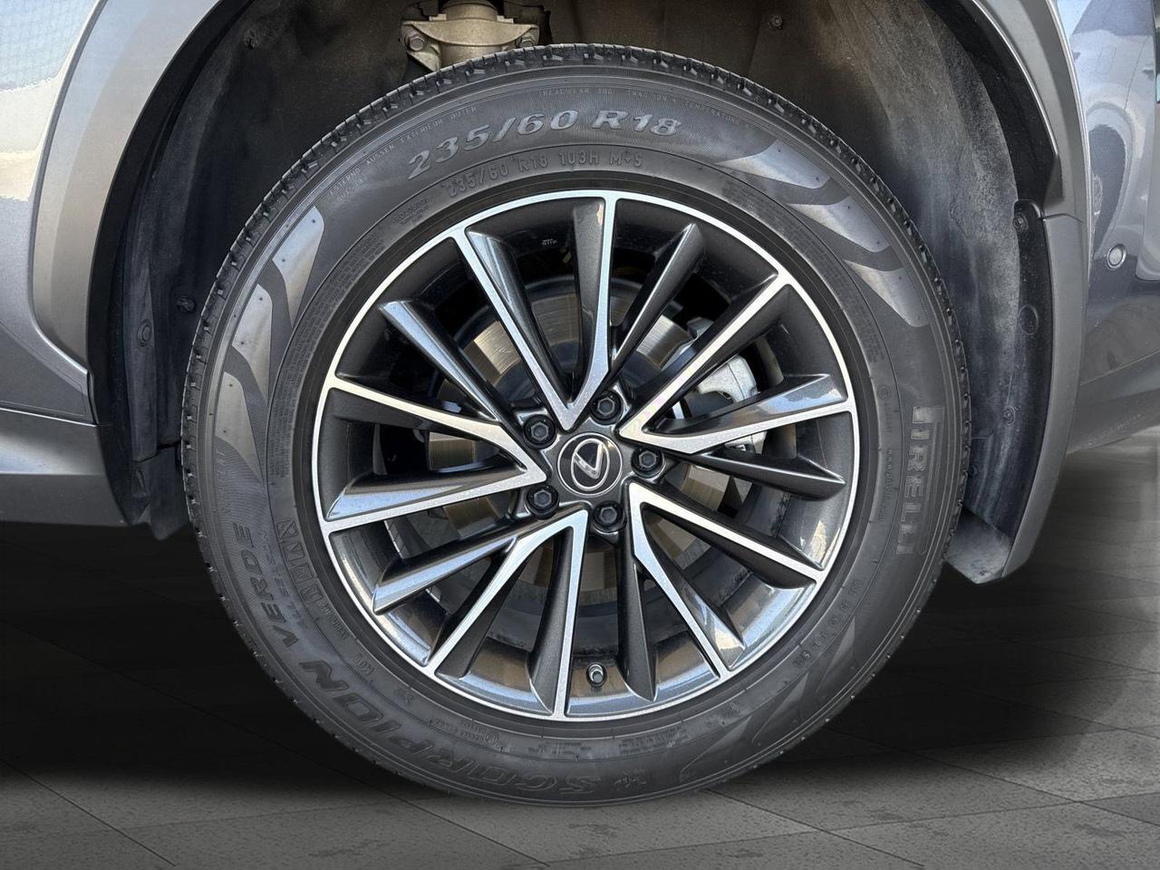 2024 Lexus NX 350h Luxury San Antonio TX