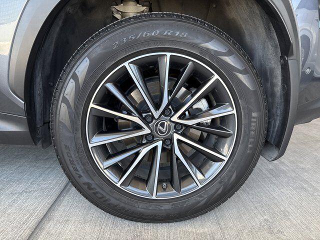 2024 Lexus NX 350h Luxury San Antonio TX