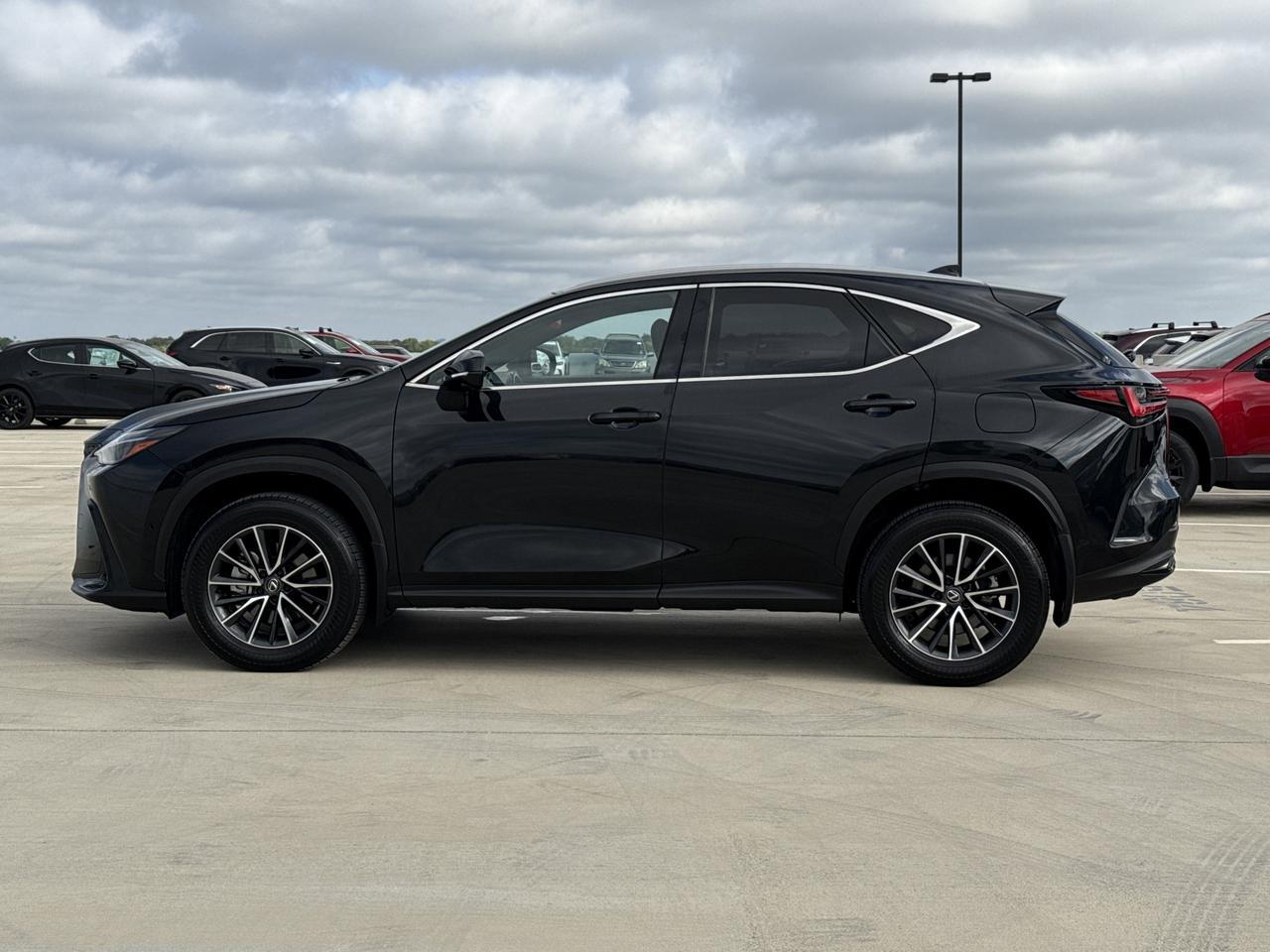 2024 Lexus NX 350h Luxury