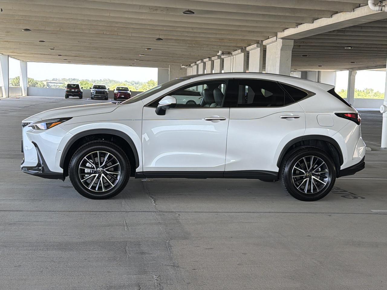 2024 Lexus NX 350h Luxury