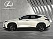 2024 Lexus NX 350h Luxury