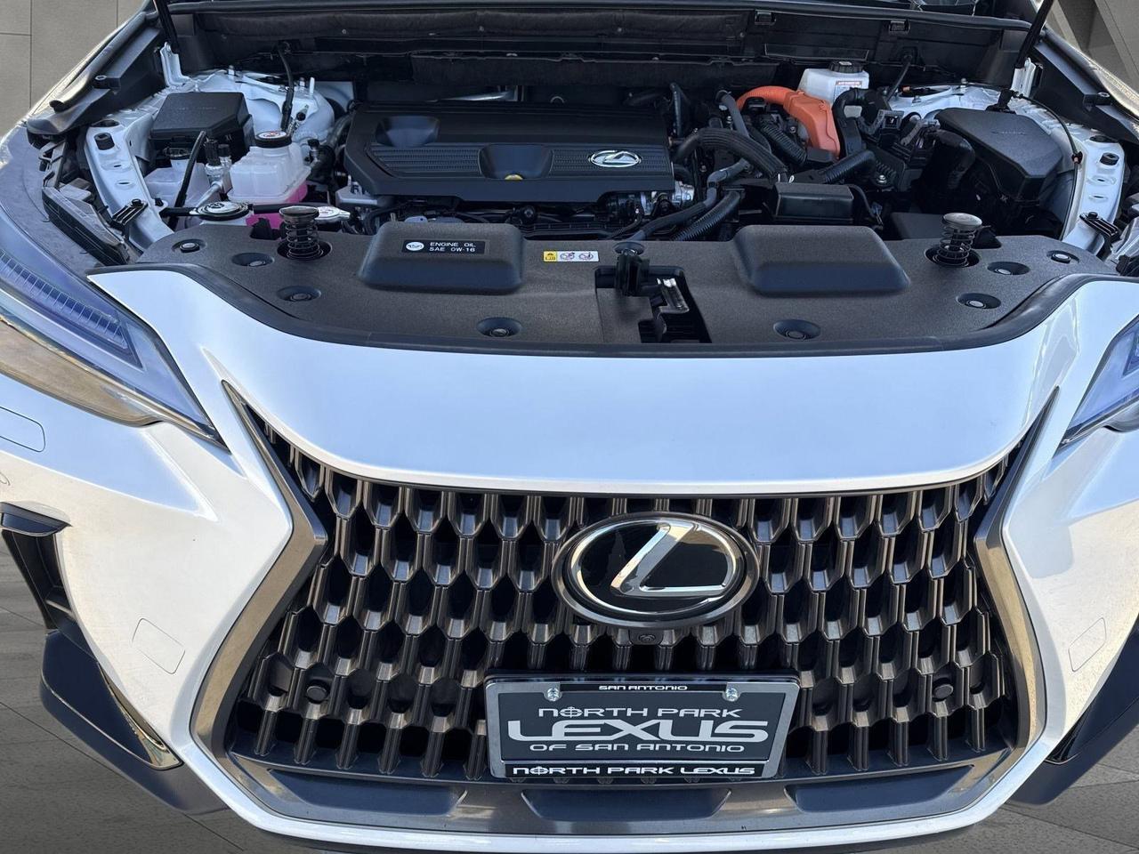2024 Lexus NX 350h Luxury San Antonio TX