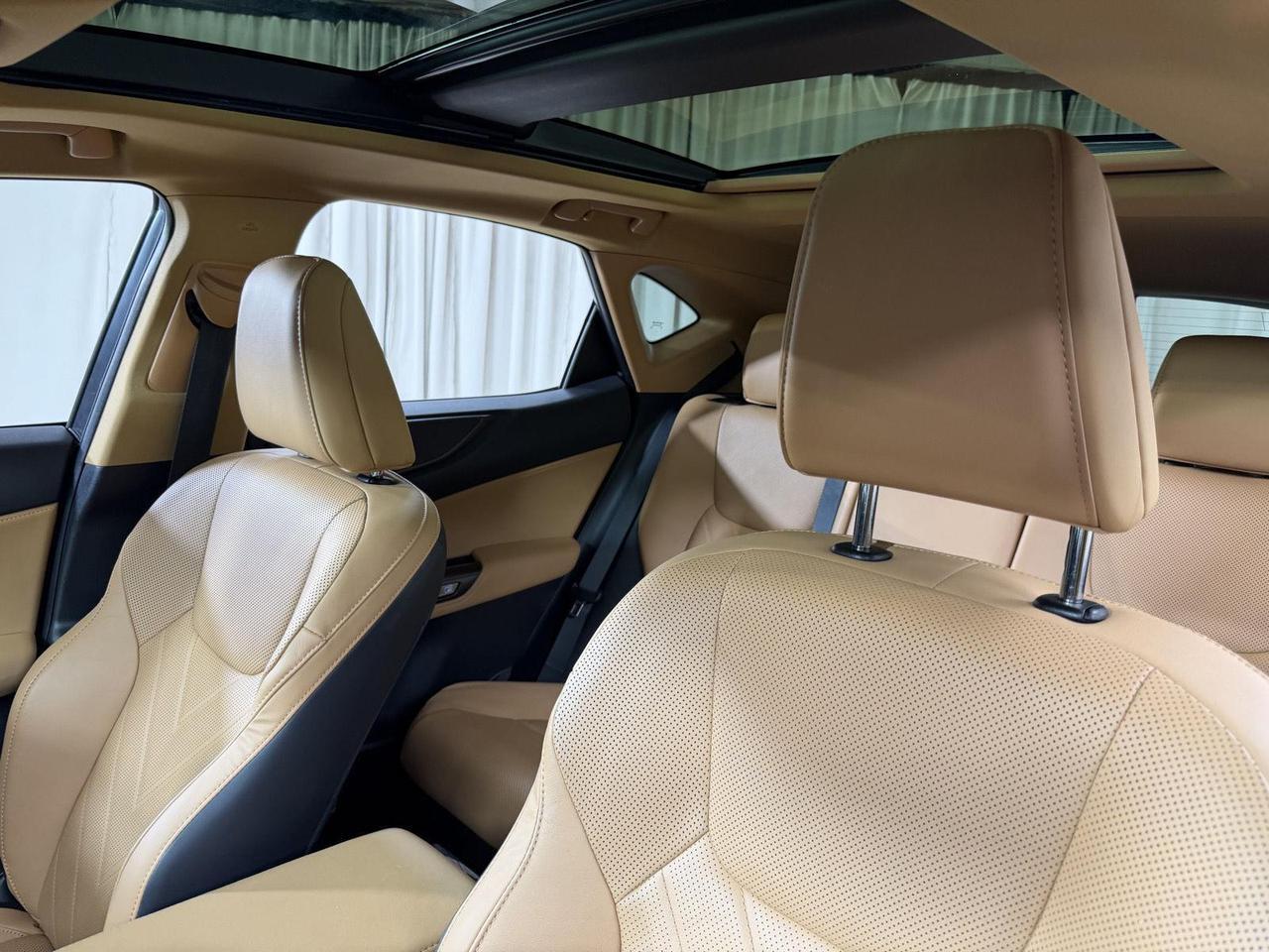 2024 Lexus NX 350h Luxury Annapolis MD