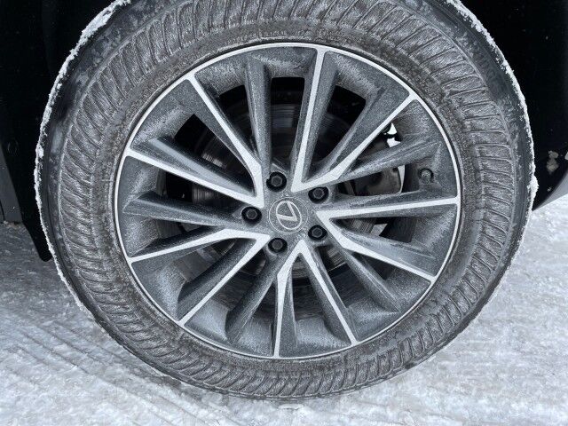 2024 Lexus NX 350h Premium Cleveland OH