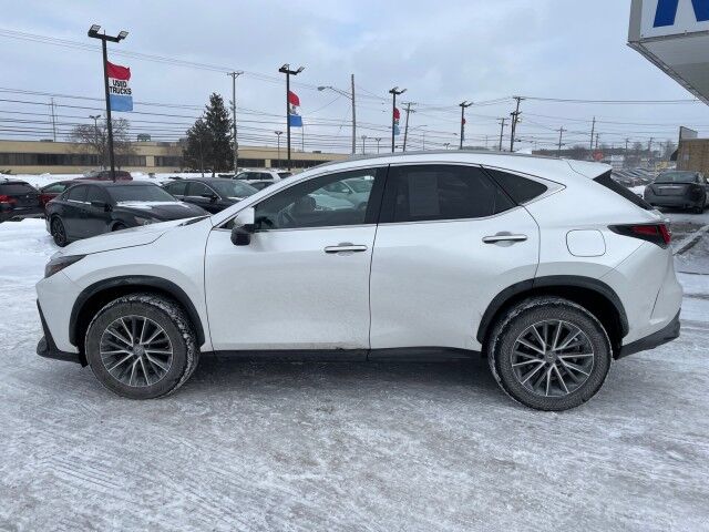 2024 Lexus NX 350h Premium