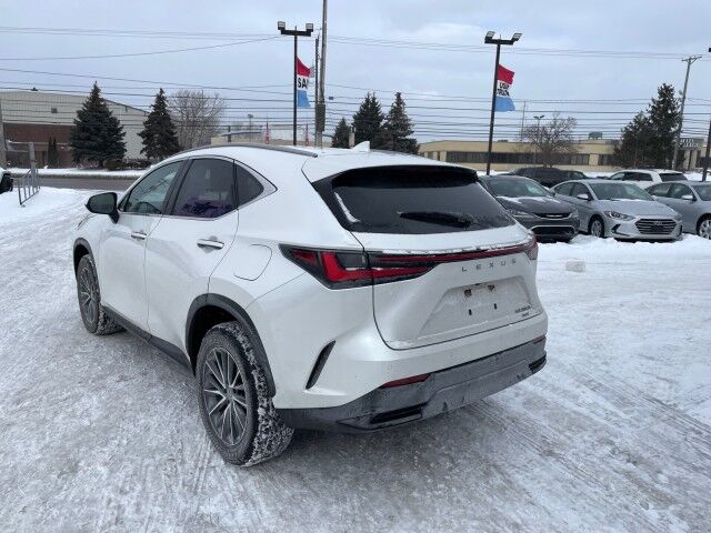 2024 Lexus NX 350h Premium