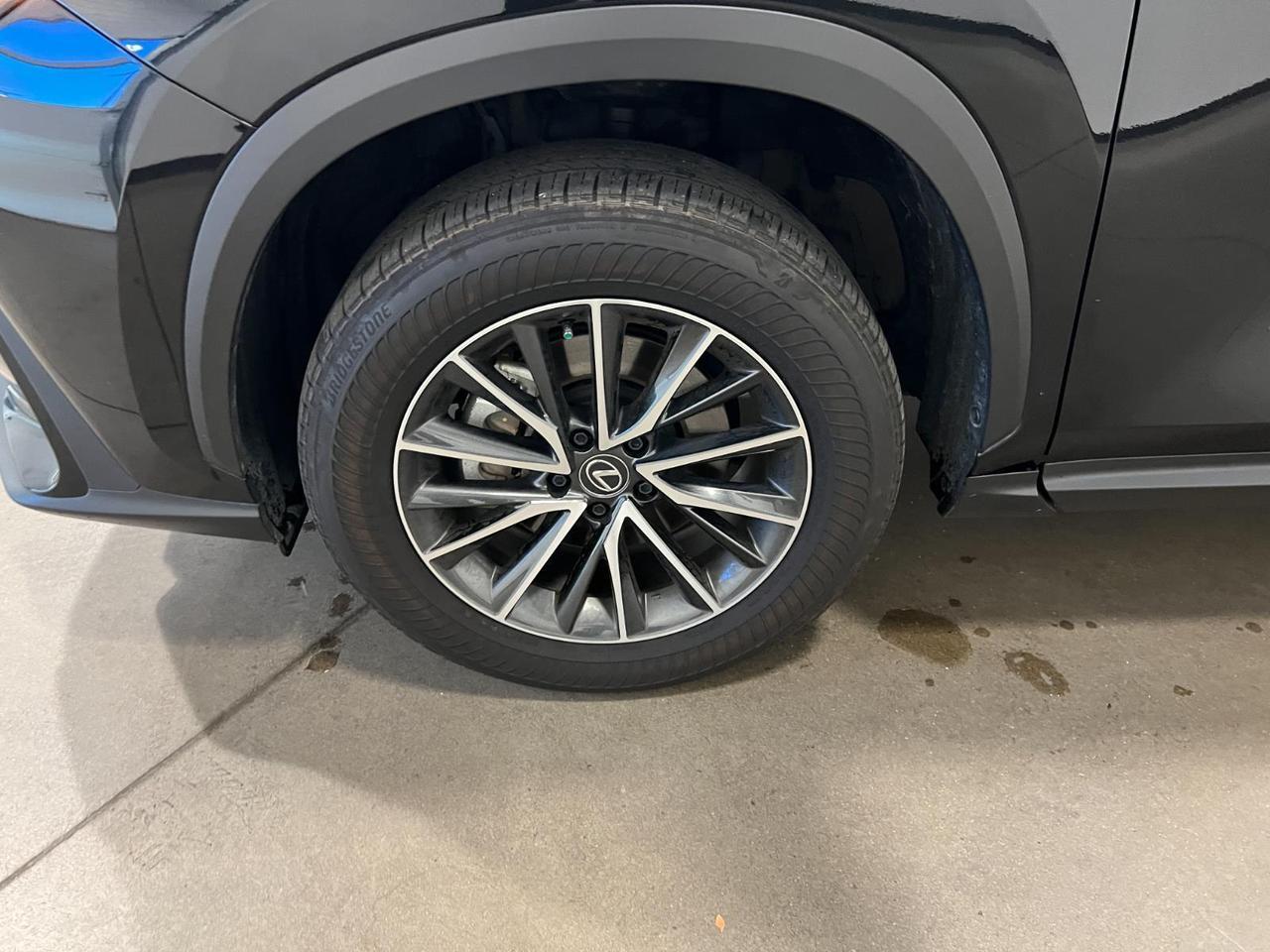 2024 Lexus NX 350h Premium Parker CO
