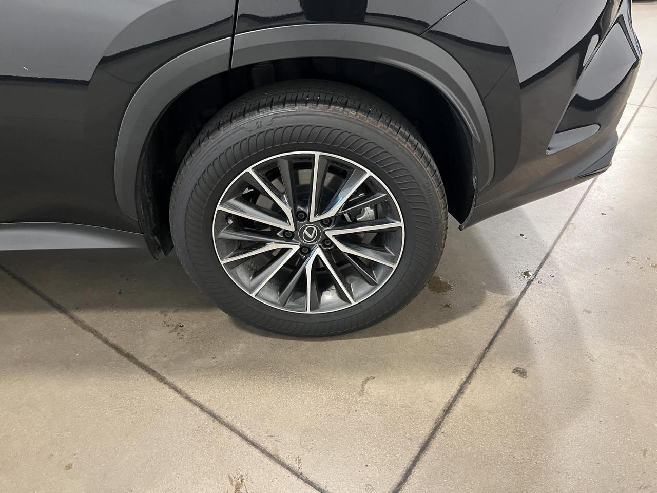 2024 Lexus NX 350h Premium Parker CO