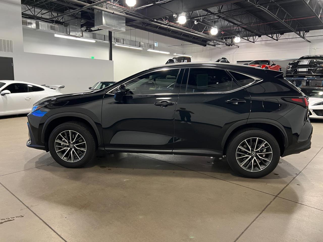 2024 Lexus NX 350h Premium Parker CO