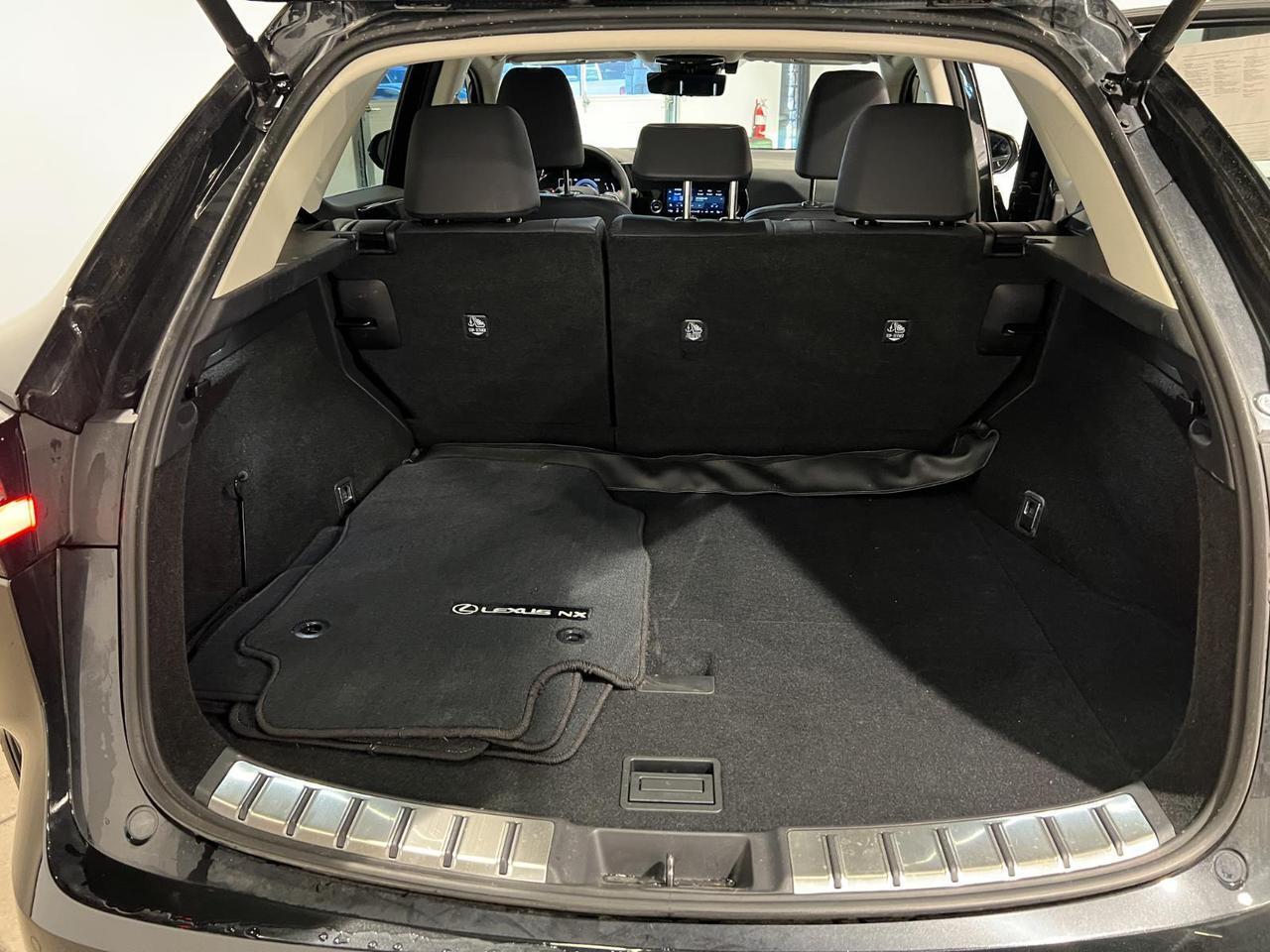 2024 Lexus NX 350h Premium Parker CO