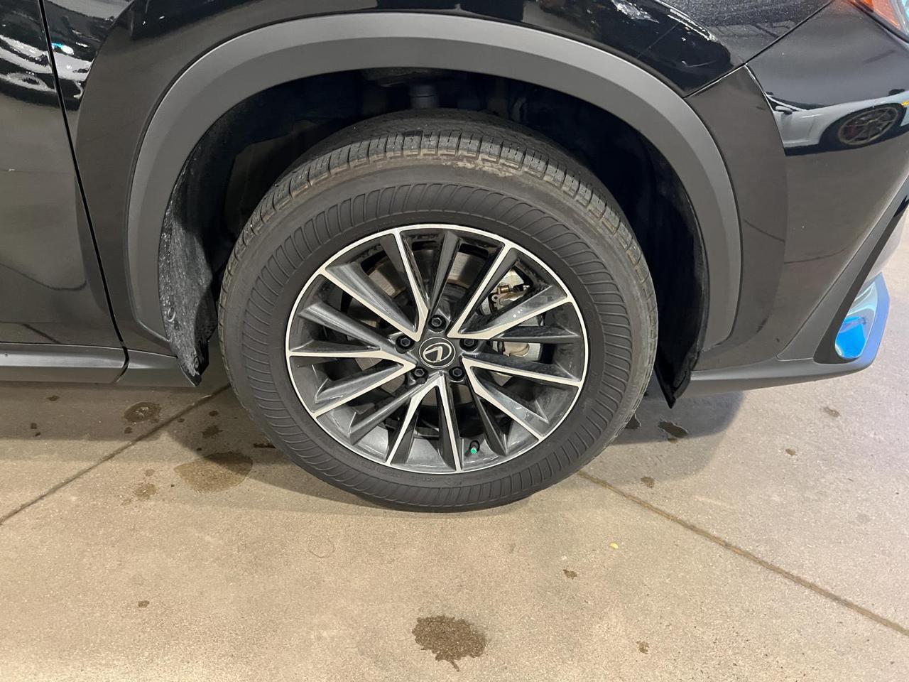 2024 Lexus NX 350h Premium Parker CO