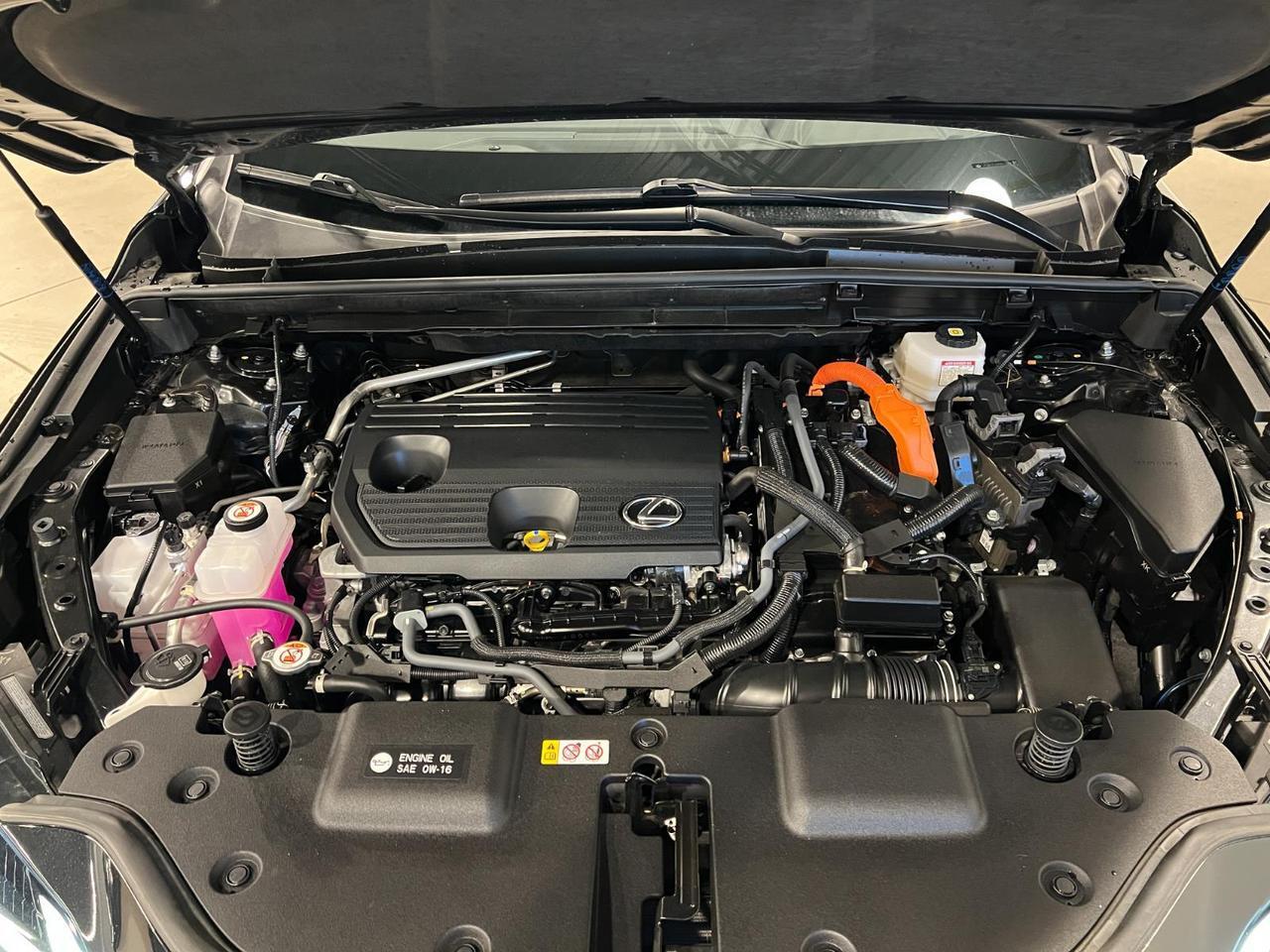 2024 Lexus NX 350h Premium Parker CO