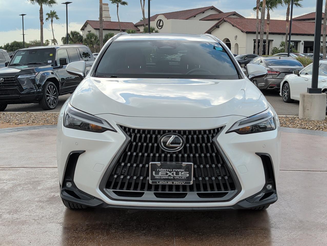 2024 Lexus NX 350h Premium