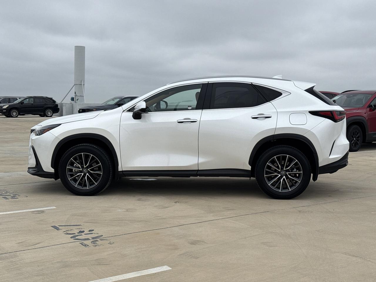 2024 Lexus NX