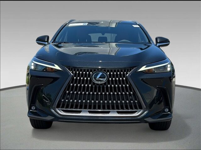 2024 Lexus NX 350h Premium San Juan Capistrano CA