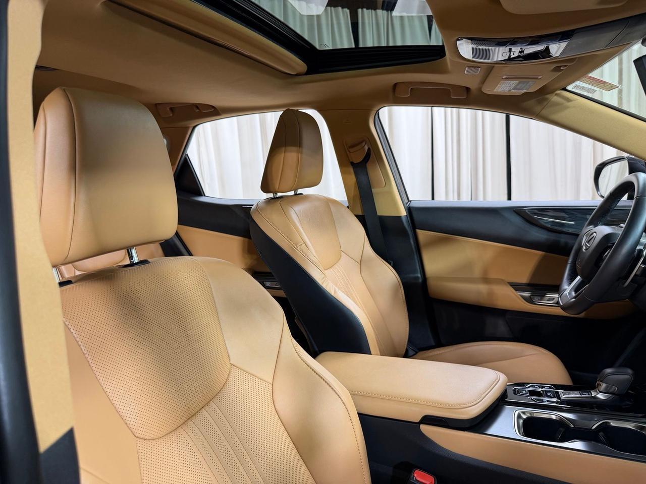 2024 Lexus NX 350h Premium Annapolis MD