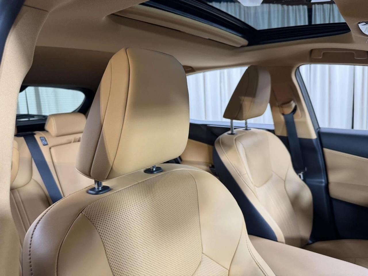 2024 Lexus NX 350h Premium Annapolis MD