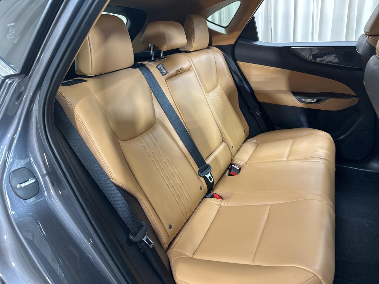 2024 Lexus NX 350h Premium Annapolis MD