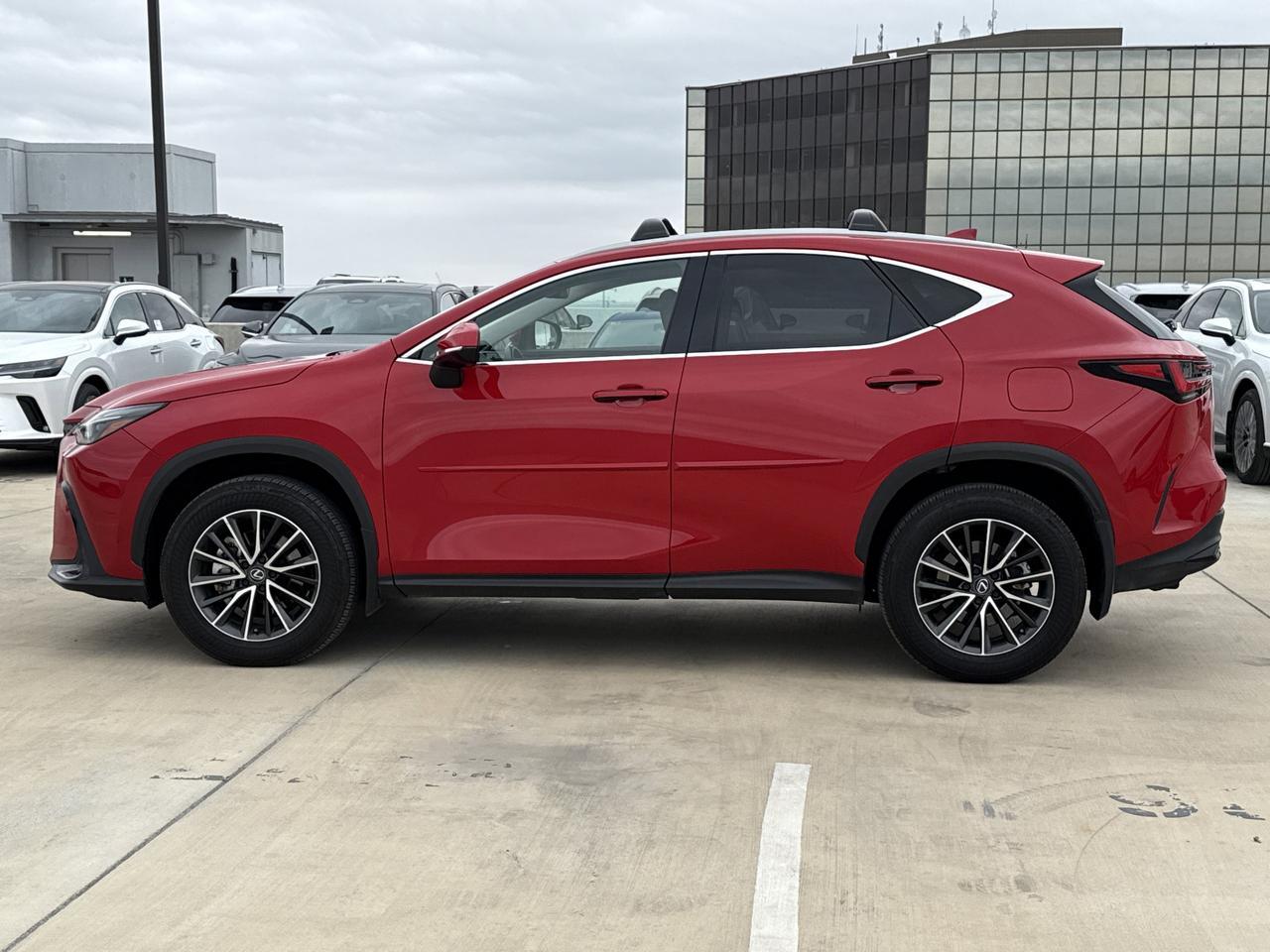 2024 Lexus NX