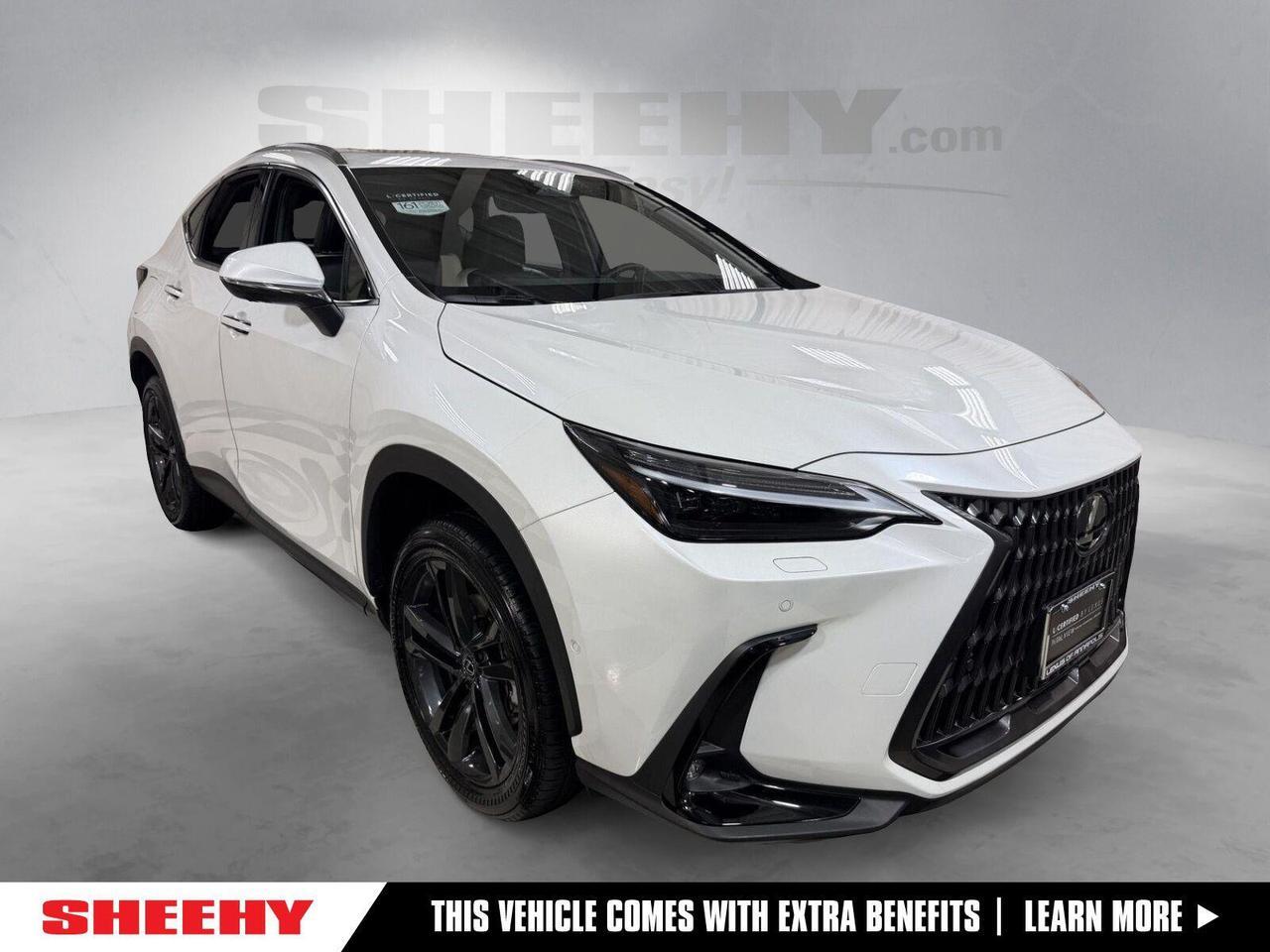 2024 Lexus NX