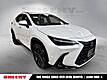 2024 Lexus NX 450h+ Luxury