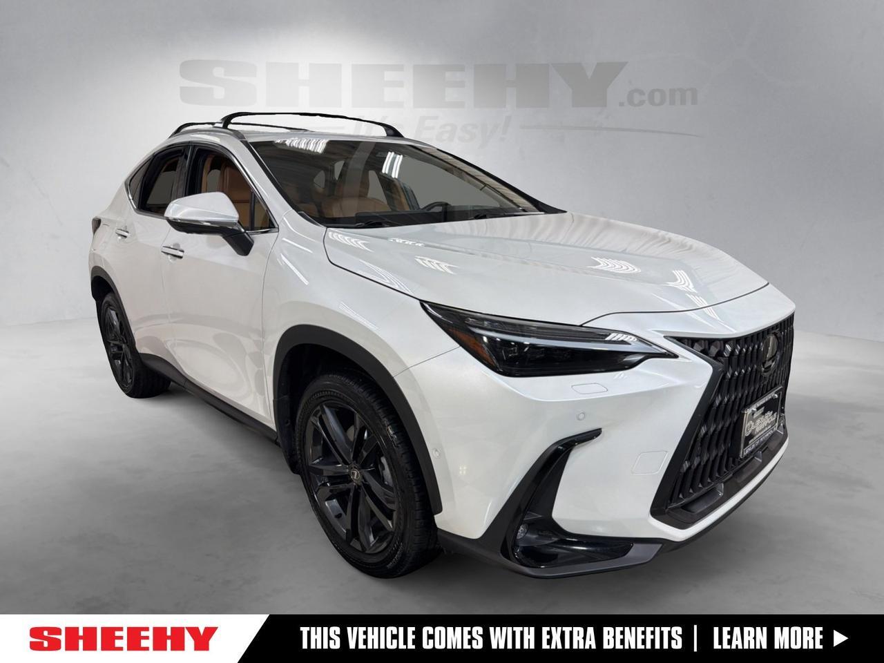 2024 Lexus NX
