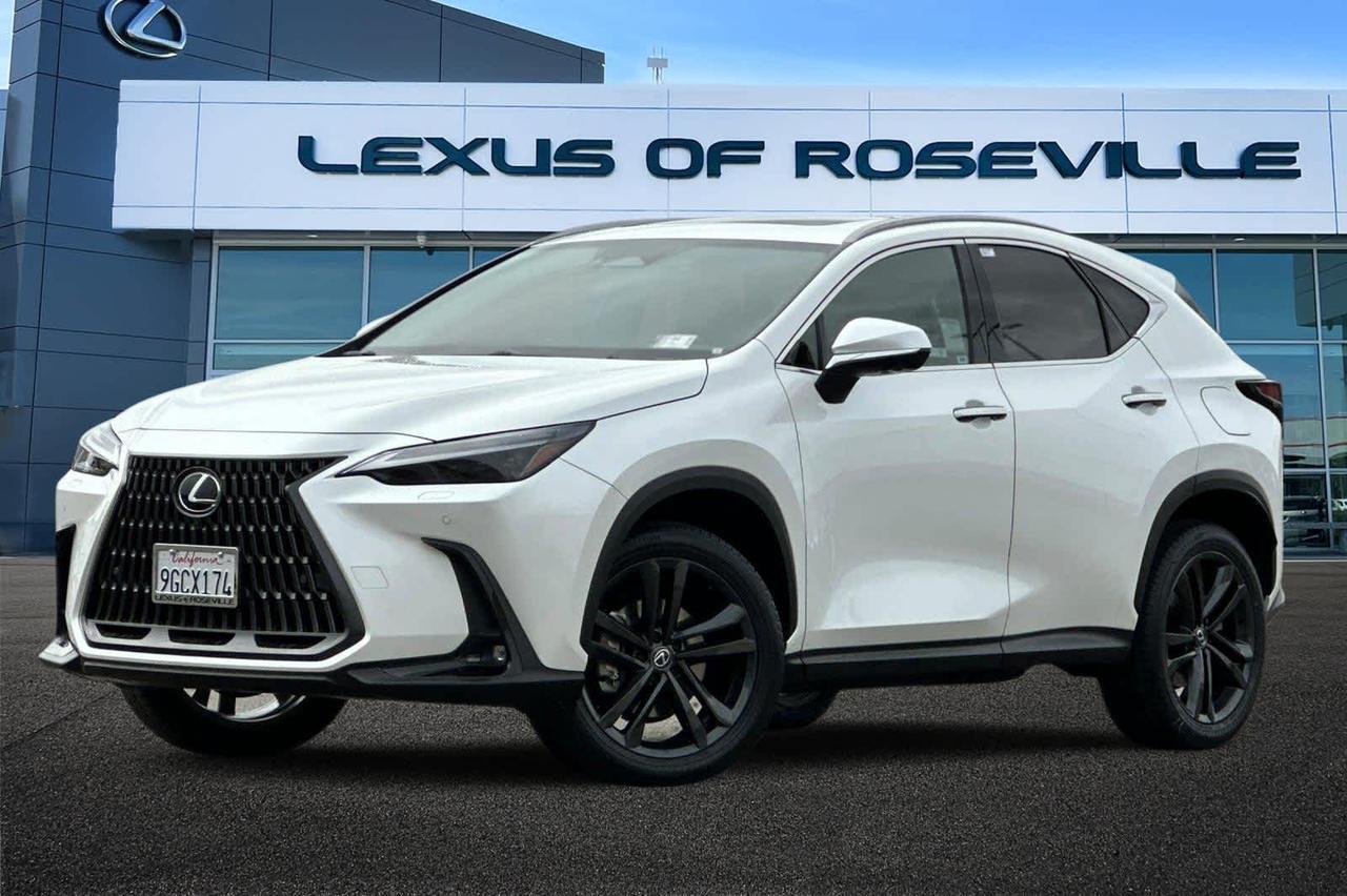 2024 Lexus NX Luxury
