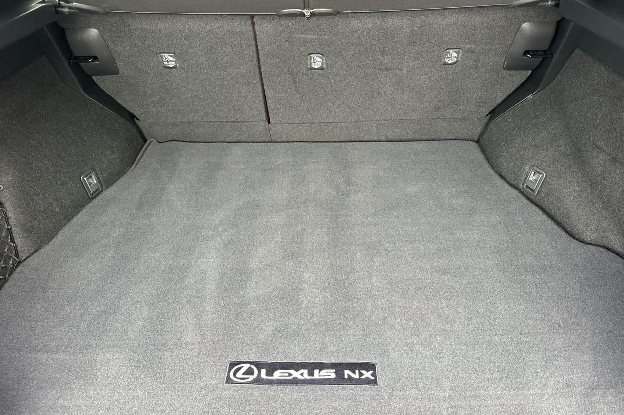 2024 Lexus NX Luxury Roseville CA