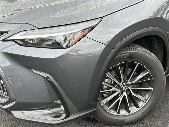 2024 Lexus NX Premium