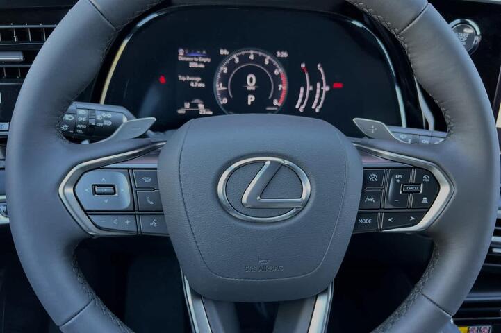 2024 Lexus RX  Roseville CA