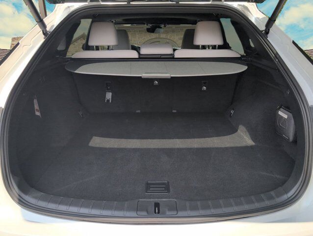 2024 Lexus RX San Antonio TX