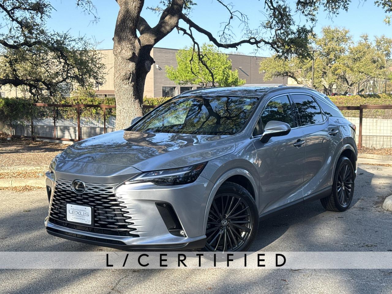 2024 Lexus RX