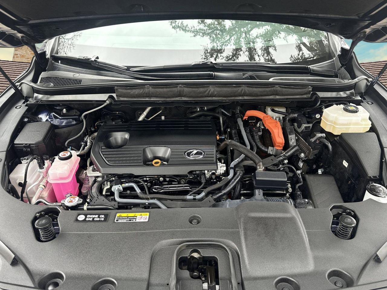 2024 Lexus RX San Antonio TX