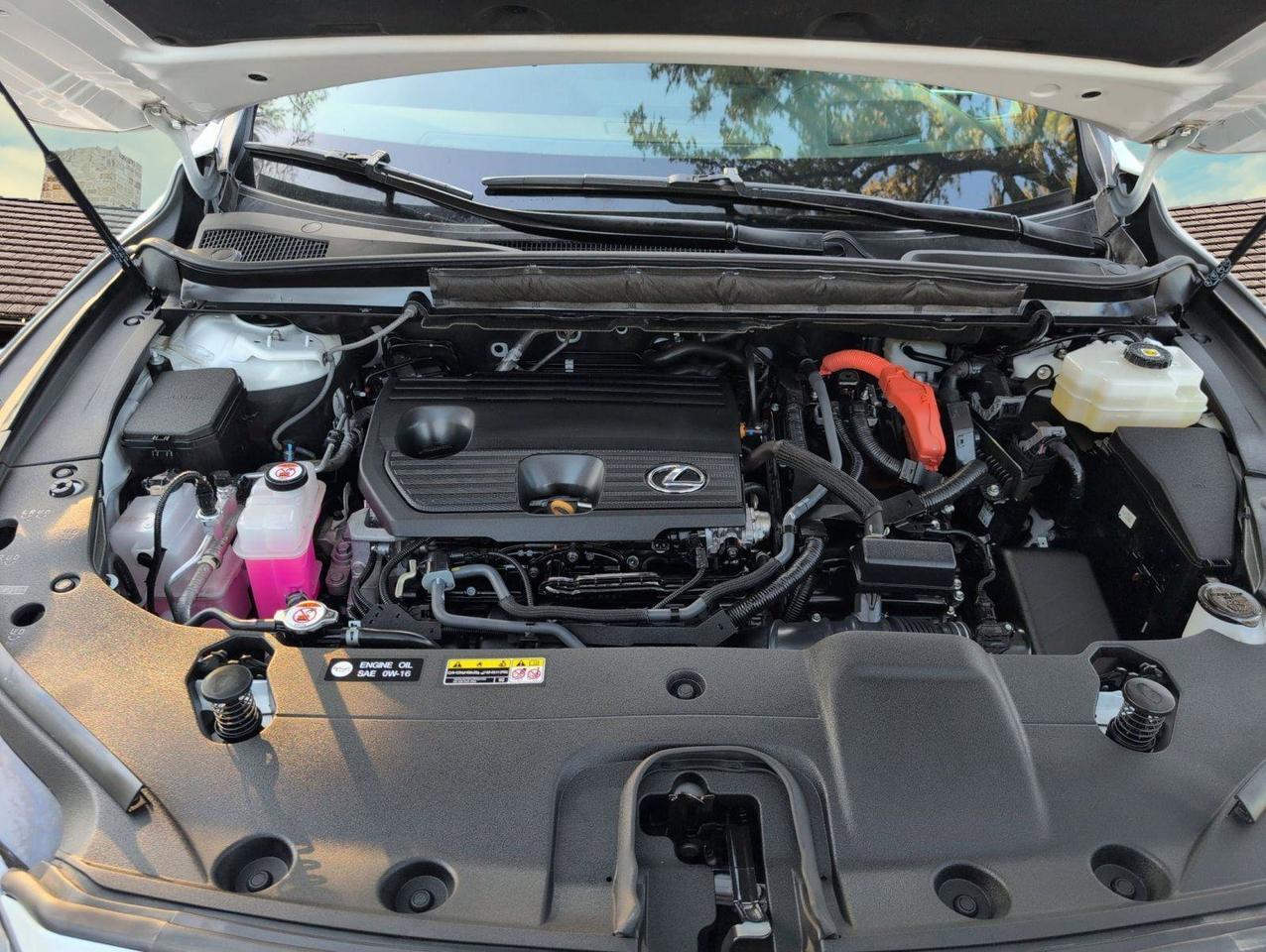 2024 Lexus RX San Antonio TX