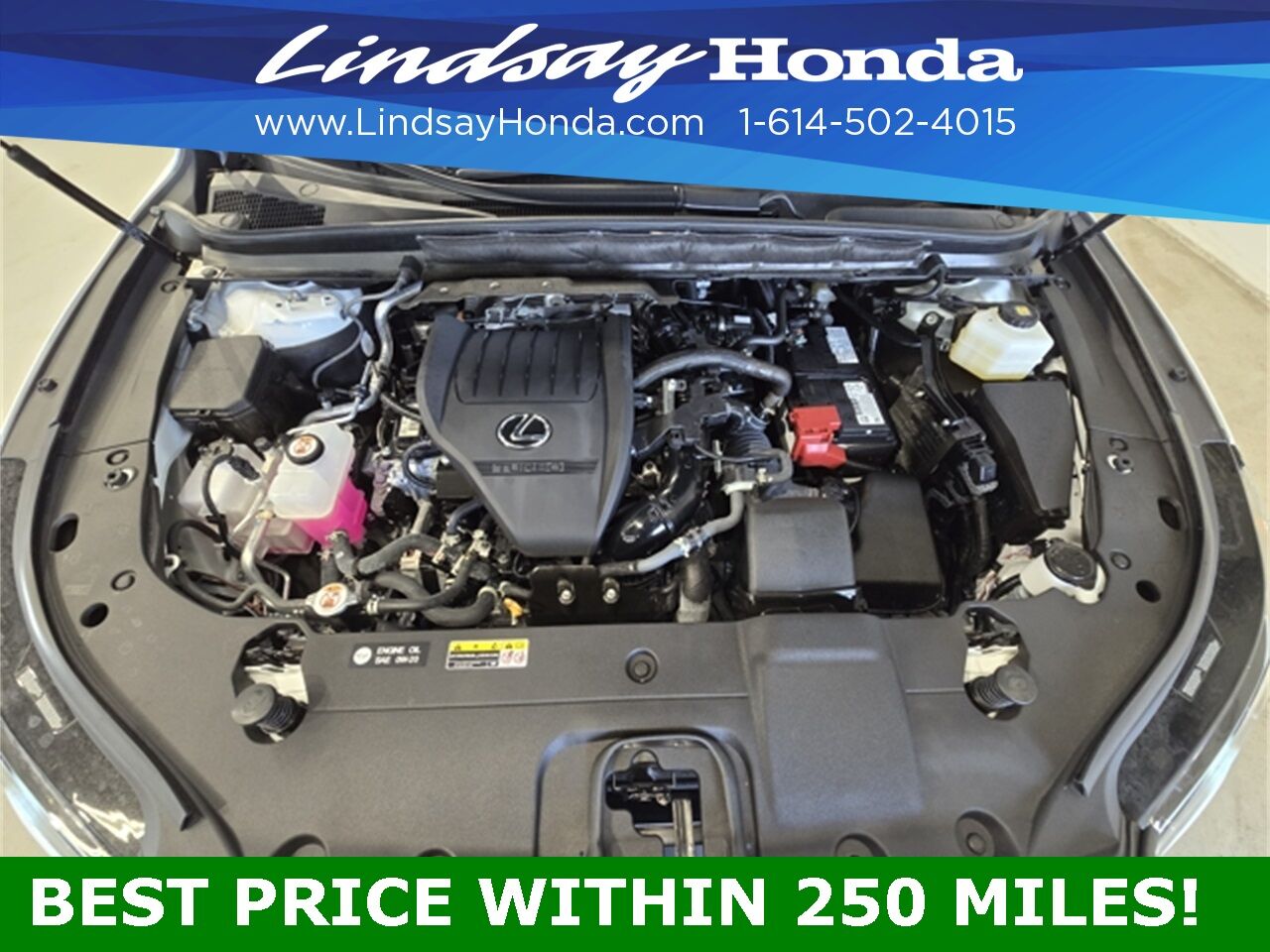 2024 Lexus RX 350 Columbus OH