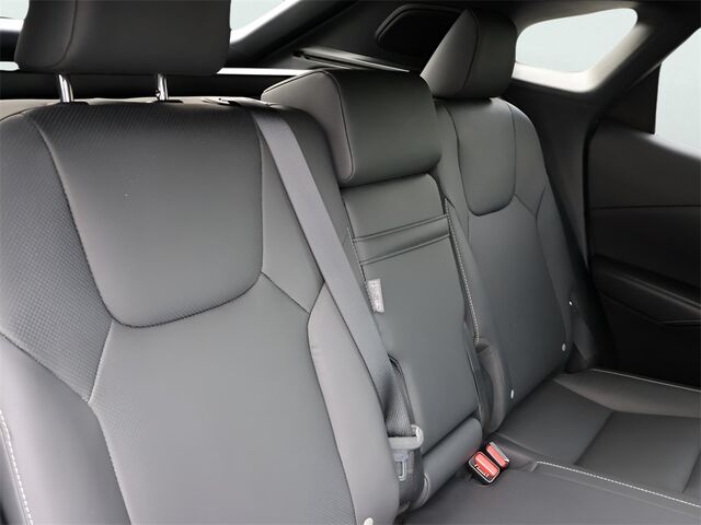 2024 Lexus RX 350 F Sport Handling Oshkosh WI