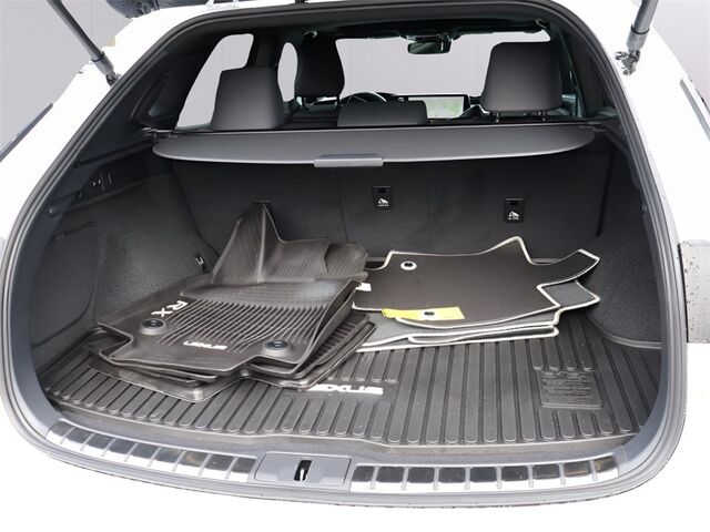 2024 Lexus RX 350 F Sport Handling Oshkosh WI