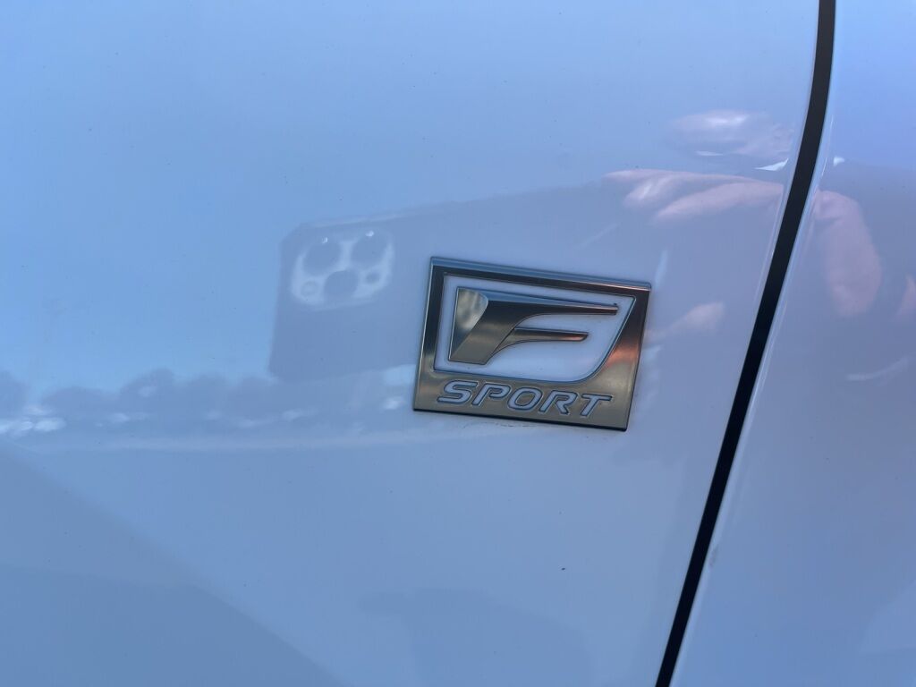 2024 Lexus RX 350 F Sport Handling Richmond VA